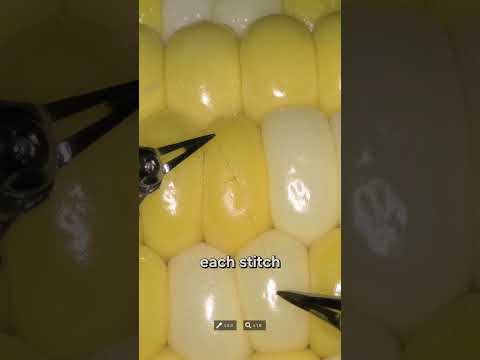 Robot Does Microsurgery On Corn Kernel 🌽