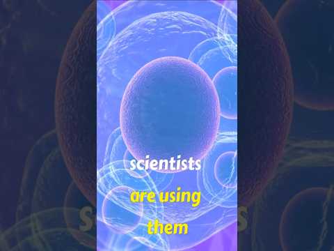 🔬✨Regenerative Medicine Breakthroughs: How Stem Cells &amp; Tissue Engineering Are Healing the Future 💥!