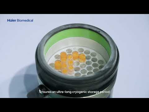 Portable Cryogenic Transfer Tank