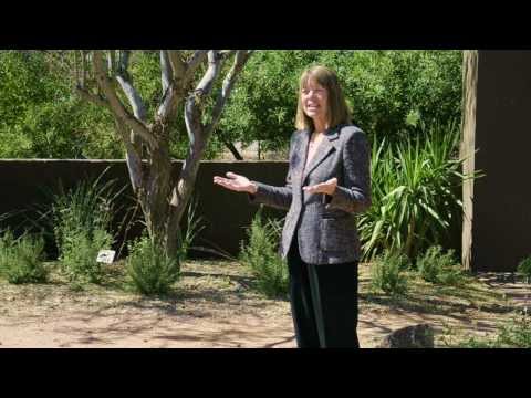 Creating Sustainable Energy Solutions