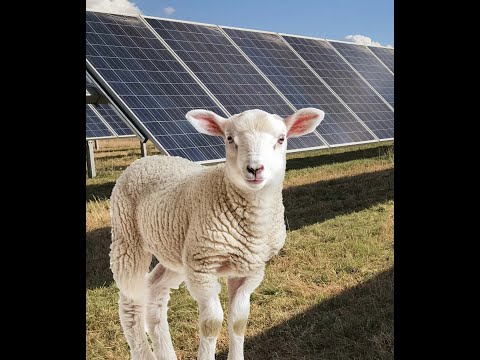 Introduction to Solar Grazing