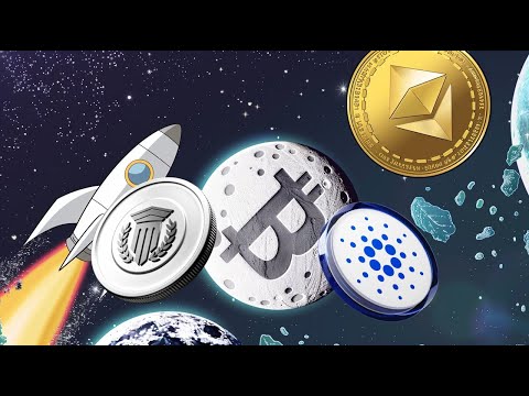 Whales Flock to Mutuum Finance: The Next Big Thing in Crypto?