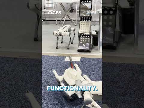 Deep Robotics&#039; Robot Dog at CES 2025