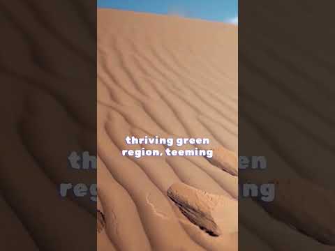 Sahara&#039;s Shifting Sands: The Tale of the &quot;Green Sahara&quot; #fact #nature #desert #sahara