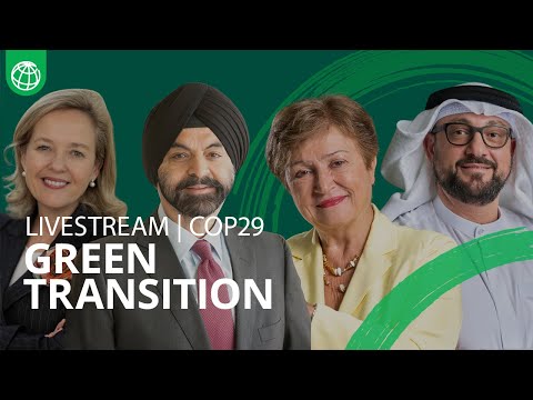 Unlocking Financing for the Green Transition in Emerging and Developing Economies | COP29