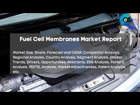 Fuel Cell Membranes Market Report 2024
