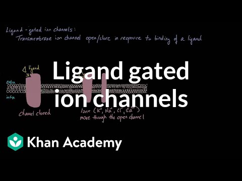 Ligand Gated Ion Channels | Nervous system physiology | NCLEX-RN | Khan Academy