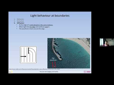 Basic optics for light microscopy 2025