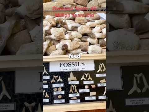 Inside Ghana&#039;s MASSIVE Gold Rush Making History in 2025