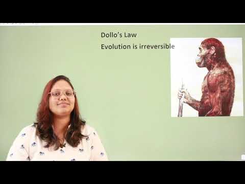 Dollo&#039;s Law. rules in Evolutionary biology