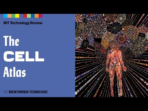 Biology’s Next Mega-Project Will Find Out What We’re Really Made Of