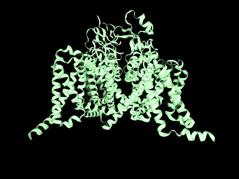 Voltage-gated sodium channel 1.8 (Nav 1.8) - Protein of the month - March 2025