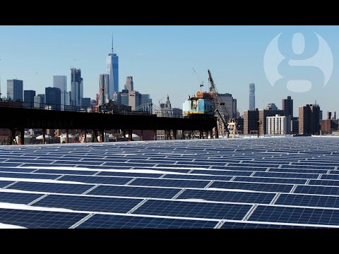 Not the sunshine state: why is Florida so far behind with solar energy?