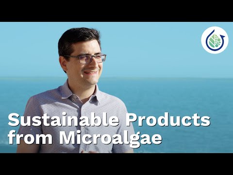 Sustainable microalgae products for agri- &amp; aquaculture – listen to the expert Alexandre Rodrigues