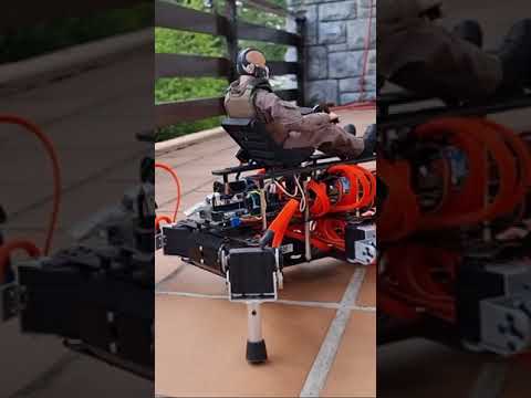 Hexapod robot.