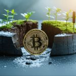 The Bitcoin Halving: A Countdown to Crypto’s Biggest Catalyst
